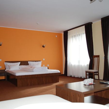 Vila Aris Iasi Room photo