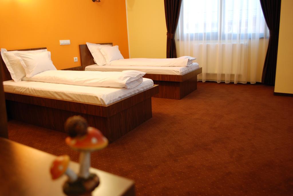 Vila Aris Iasi Room photo