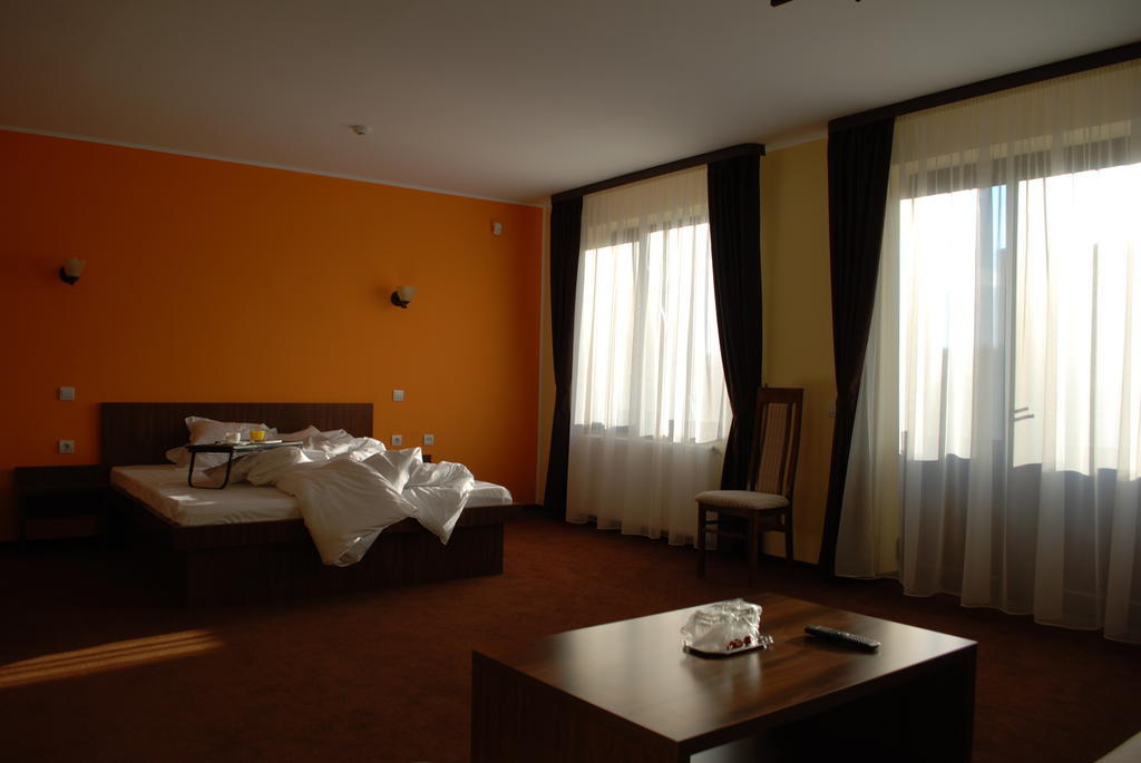 Vila Aris Iasi Room photo