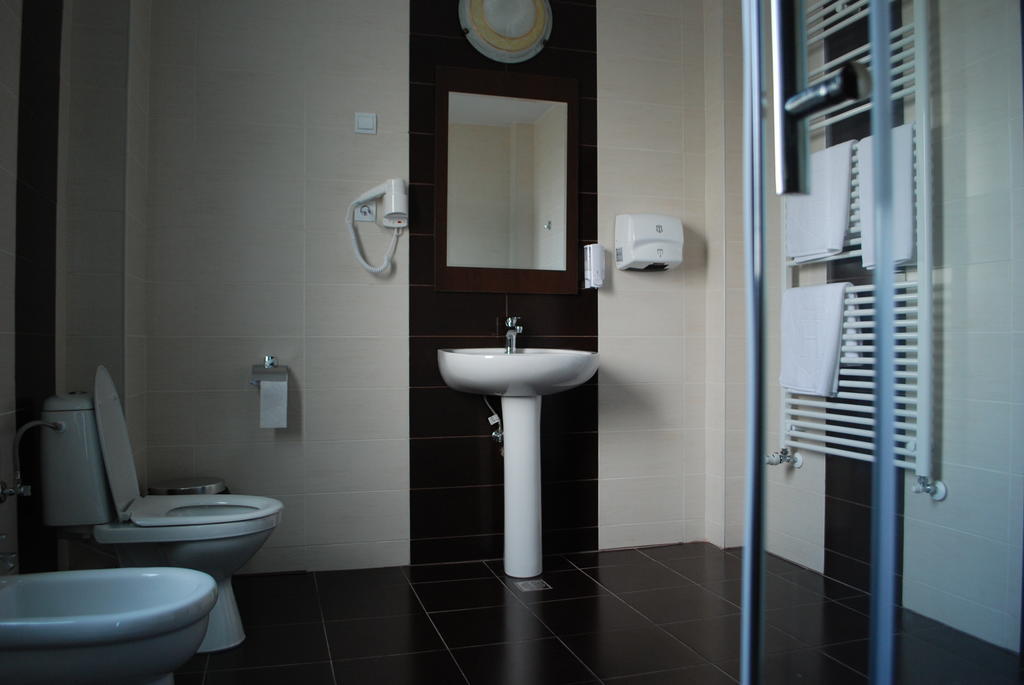 Vila Aris Iasi Room photo