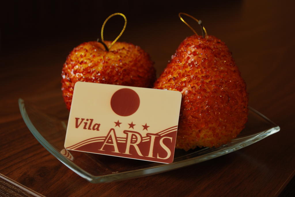 Vila Aris Iasi Room photo